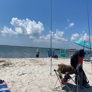 Meet your Posher, Leon